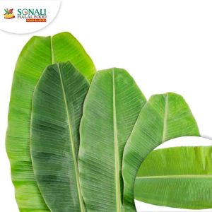 Banana Leaf