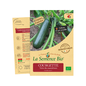 Courgette seeds