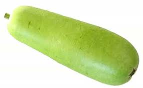 Bottle Gourd, Lau Green, Soft, Fresh