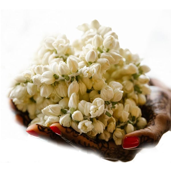 Fresh Jasmine Flower String (Approx 25cm)^ - Image 3